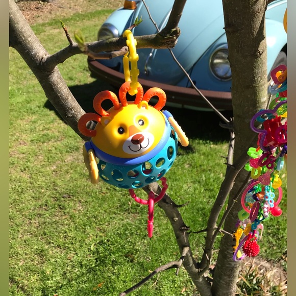 Lot Small Pet Hanging Enrichment Sugar Glider Toys Extra Hanging Clips - Picture 7 of 12